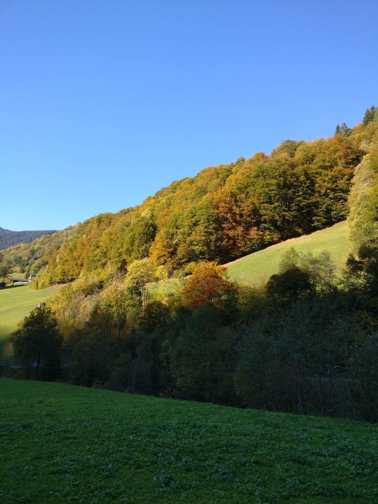 Fruehstueckspension Gweil Sankt Gallenkirch Εξωτερικό φωτογραφία